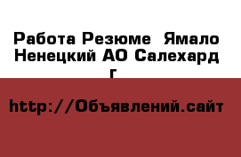 Работа Резюме. Ямало-Ненецкий АО,Салехард г.